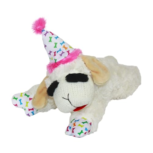 Best Birthday Gifts for Dogs