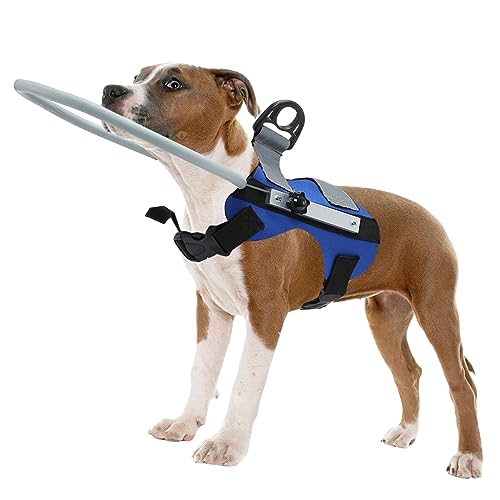 Best Blind Dog Bumper Collar
