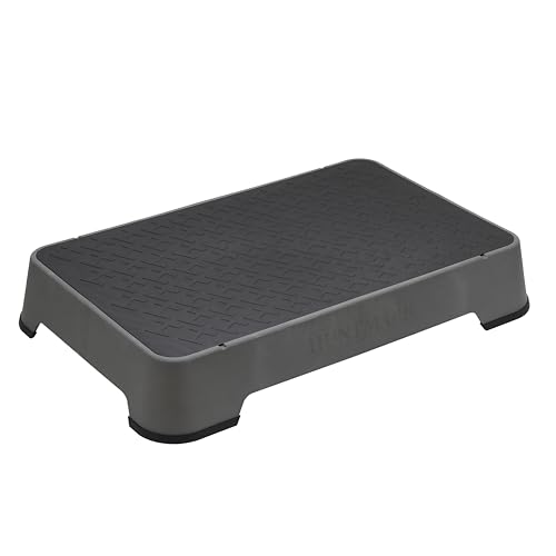 Best Board And Train for Dogs