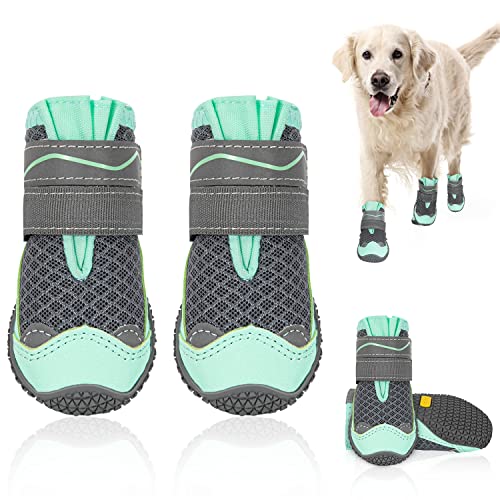 Best Boots for Dogs in Winter