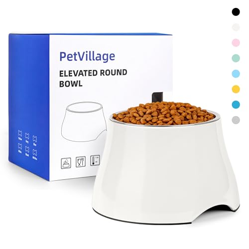 Best Bowl for Dog With Cone