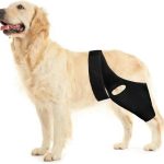 Best Brace for Dog Acl Tear