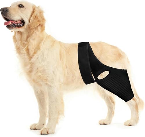 Best Brace for Dog Acl Tear
