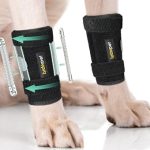 Best Braces And Splints for Dogs