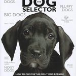 Best Breed Dog for Family