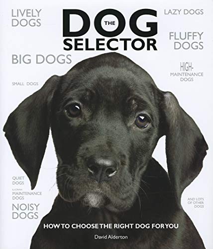 Best Breed Dog for Family