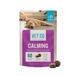 Best Breed for Anxiety Service Dog