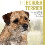 Best Breed of Dog for Seniors