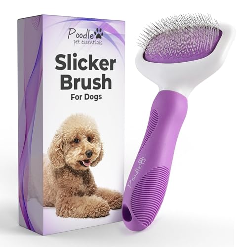 Best Brush for Curly Hair Dogs