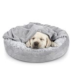 Best Burrow Bed for Dogs