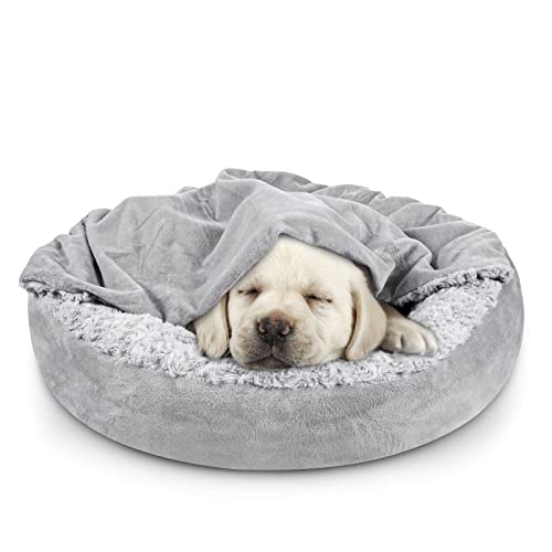 Best Burrow Bed for Dogs