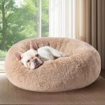 Best Calming Bed for Dogs