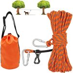 Best Camping Gear for Dogs