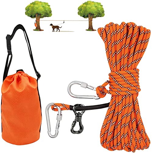 Best Camping Gear for Dogs