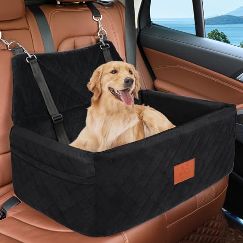 Best Car Seats for Large Dogs
