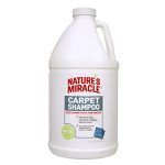 Best Carpet Cleaning Service for Dog Urine