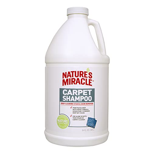 Best Carpet Cleaning Service for Dog Urine