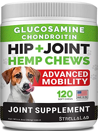 Best Cbd Chews for Dogs With Pain
