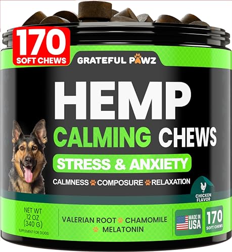 Best Cbd Dog Calming Chews