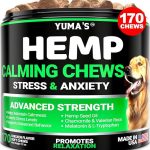 Best Cbd for Aggressive Dogs