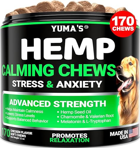 Best Cbd for Aggressive Dogs