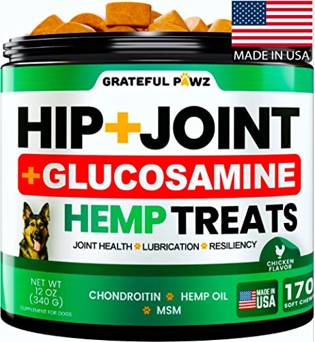 Best Cbd for Dogs Joint Pain Relief