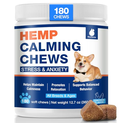 Best Cbd for Dogs With Storm Anxiety