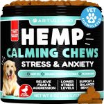 Best Cbd for Hyper Dogs