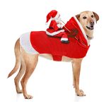 Best Christmas Costumes for Dogs