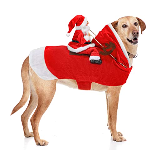 Best Christmas Costumes for Dogs