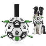 Best Christmas Gifts for a Dog