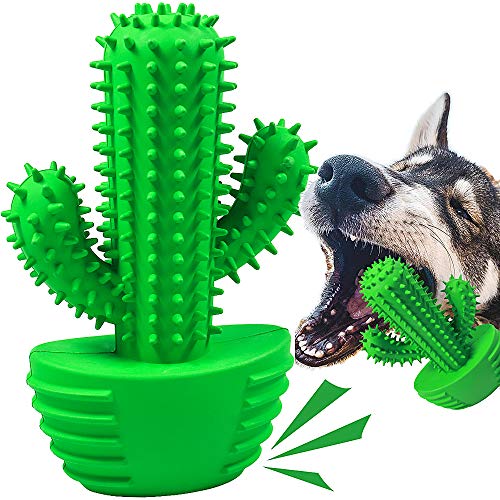 Best Christmas Presents for Dogs