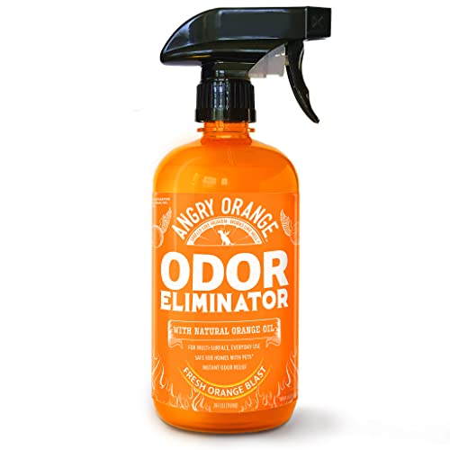 Best Cleaner to Get Rid of Dog Urine Smell