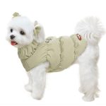 Best Coats for Small Dogs