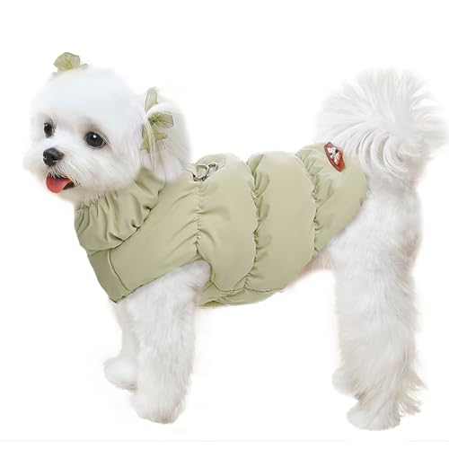 Best Coats for Small Dogs