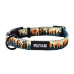 Best Collar for Bernese Mountain Dog