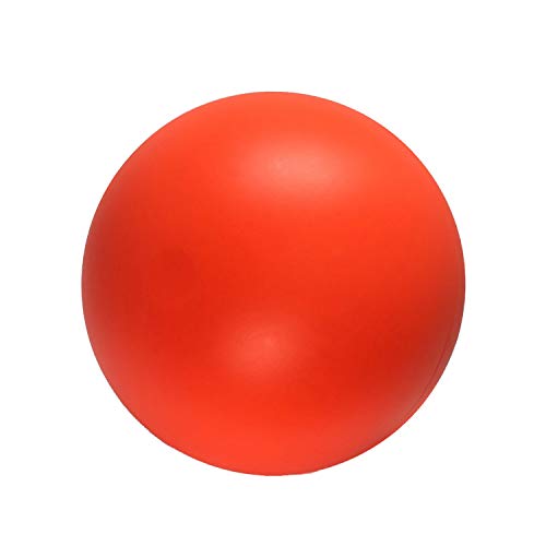 Best Color Ball for Dogs