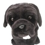 Best Companion Dog for Cane Corso