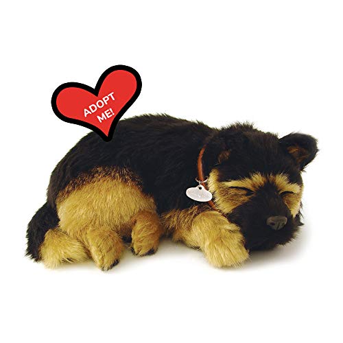 Best Companion Dog for German Shepherd