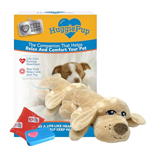 Best Companion Dogs for Anxiety