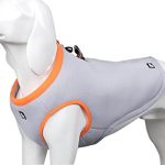 Best Cooling Jacket for Dogs
