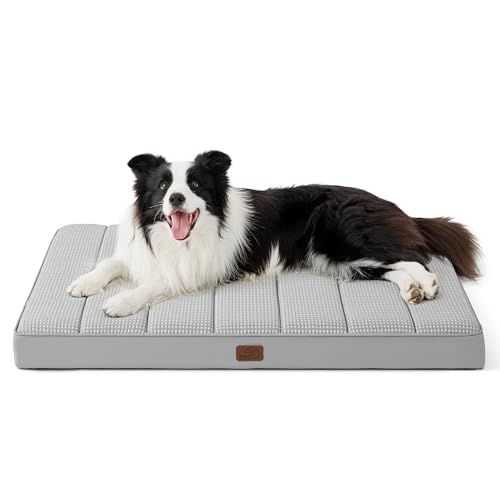 Best Cooling Mat for Dog Crate