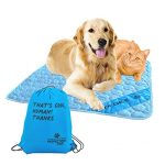 Best Cooling Products for Dogs