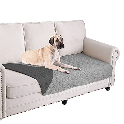 Best Couch Cover for Dogs