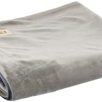 Best Couch for Dogs That Shed