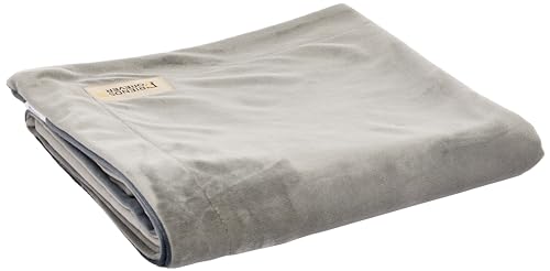 Best Couch for Dogs That Shed