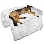 Best Couch to Have With Dogs