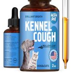 Best Cough Medicine for Dogs Over the Counter