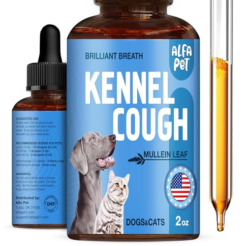 Best Cough Medicine for Dogs Over the Counter