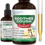 Best Cough Suppressant for Dogs